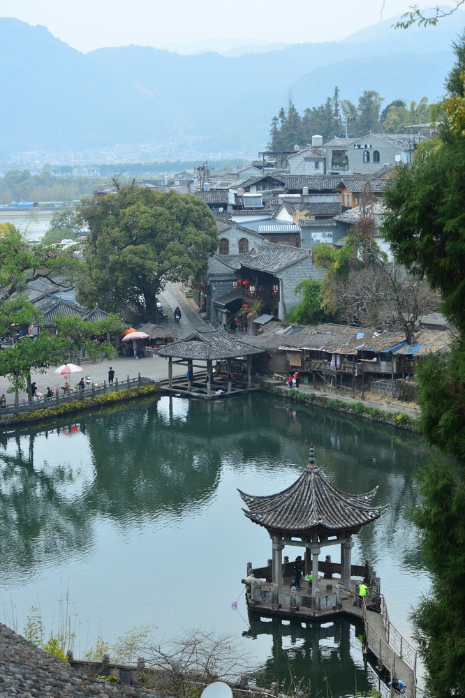 娓呮槑缁嗛洦澶╃伆钂欒挋,娓呮槑鍐烽洦