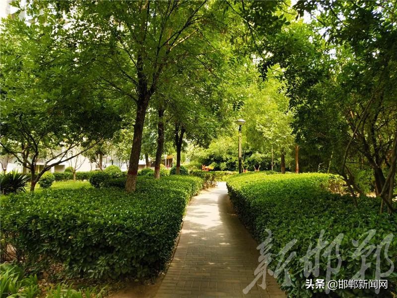 看看你家是不是“最美”！邯郸市“十佳优秀小区”评选活动启帷