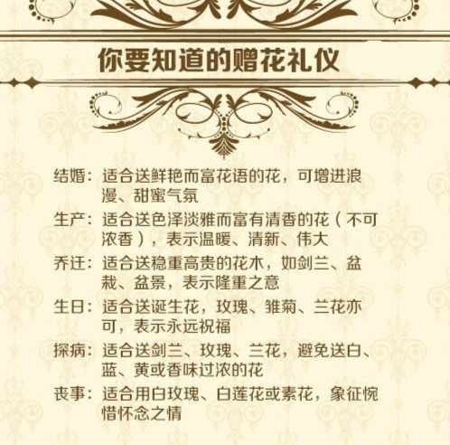 给你花原版,给你花原版视频