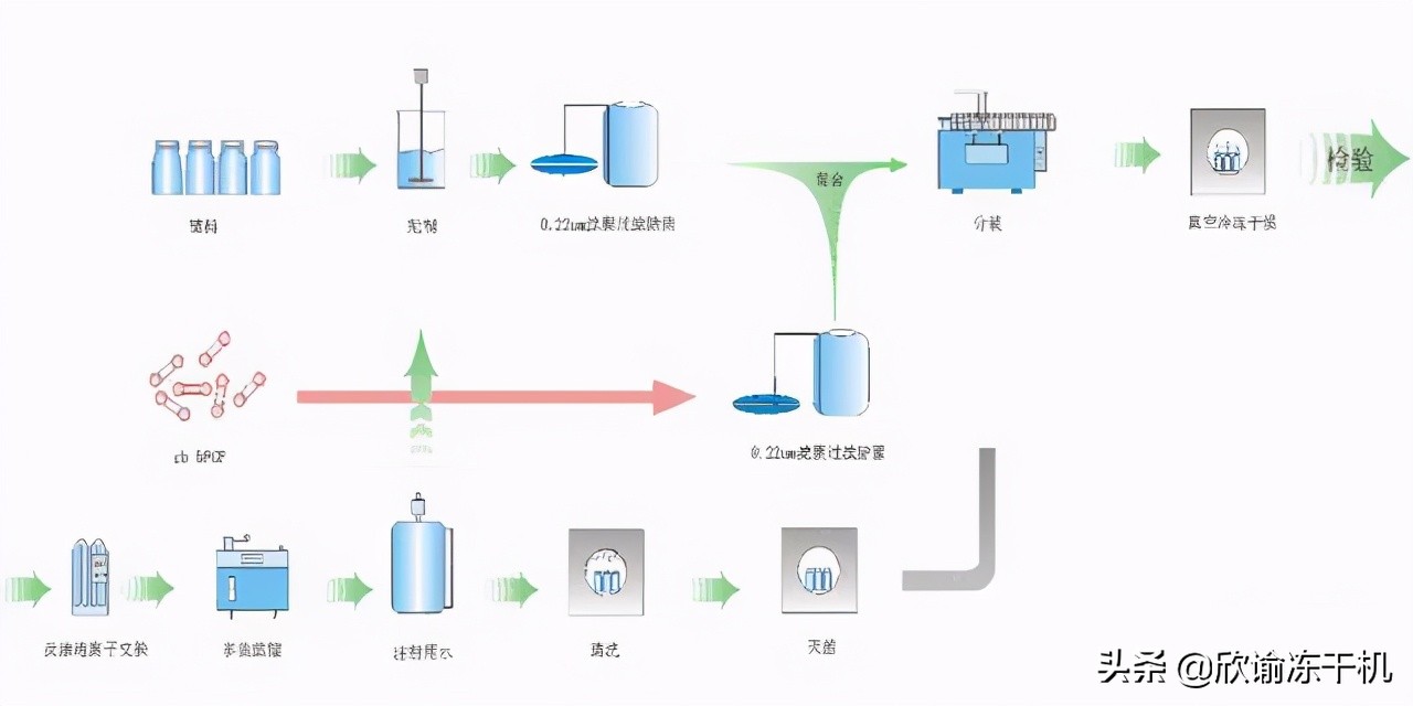 冻干无菌的方式以及西林瓶真空冷冻干燥技术研究