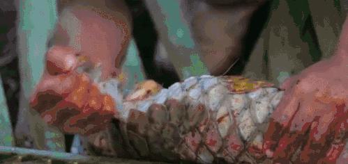 吃野生穿山甲的后果,吃了穿山甲会有什么法律后果