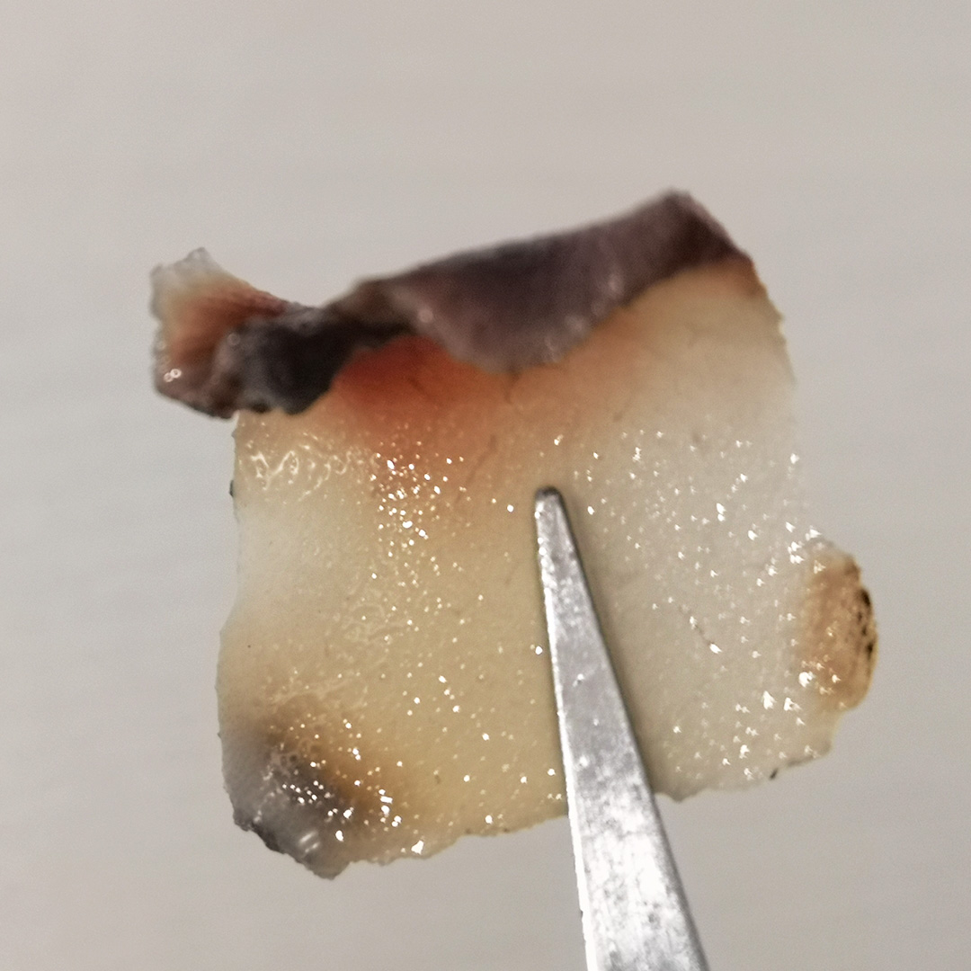 鹿茸片真假的鉴别,真的鹿茸片和假的鹿茸片怎么区分