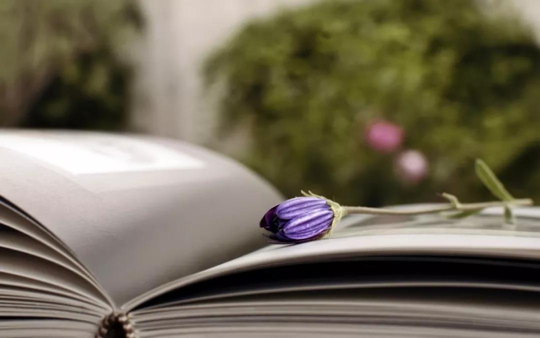 刁问妙答(太精辟了,必看)