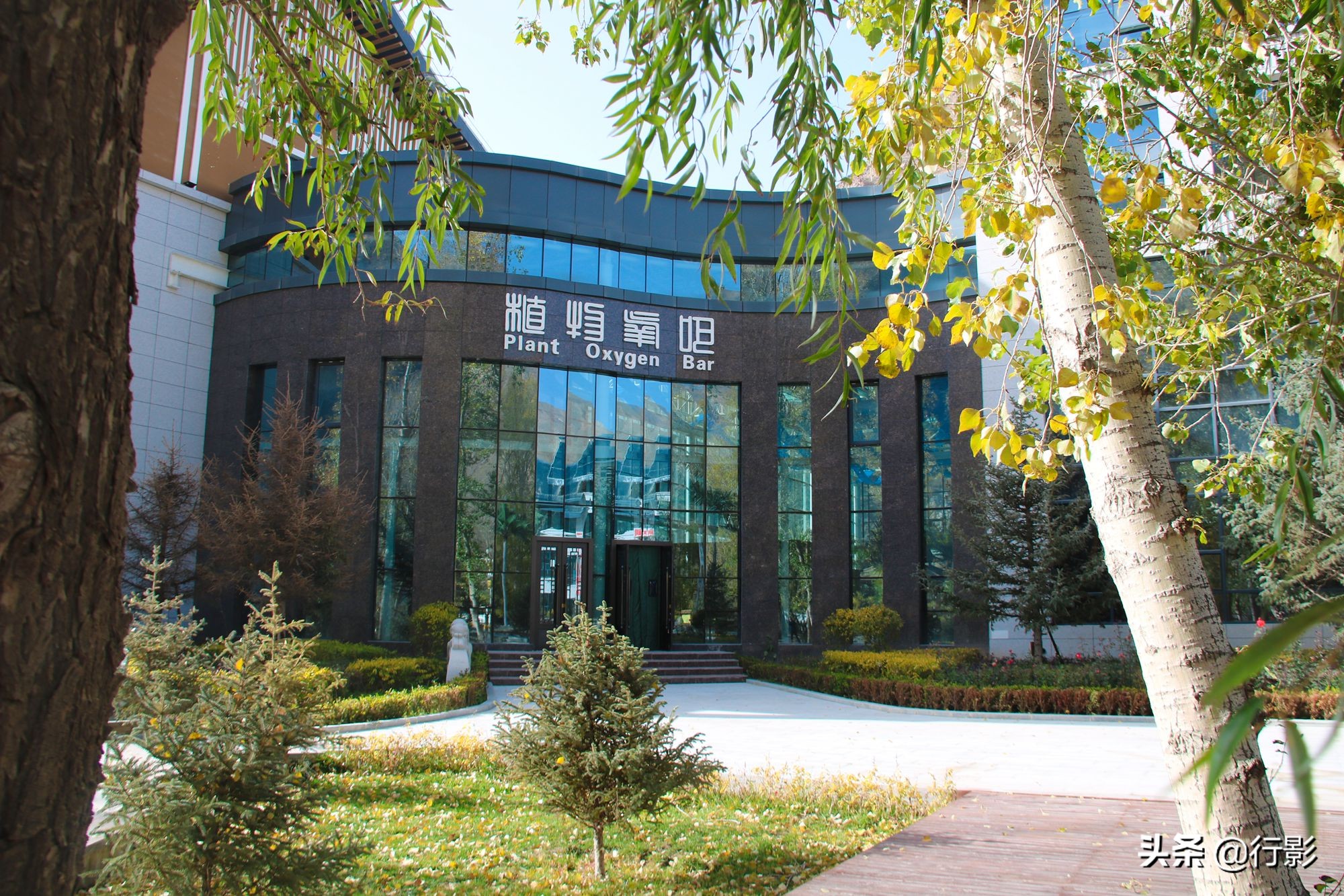 甘肃武威现在的温度是多少度,甘肃武威凉州区温度多少