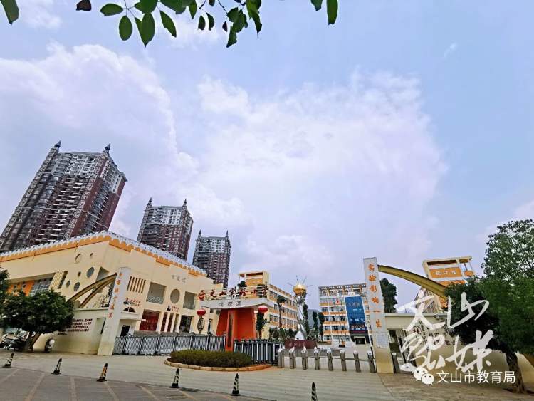 文山市面向全国招聘教师，370个岗位在城区！速扩散