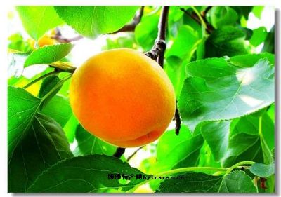 齐鲁地名在哪里,城阳地名大全