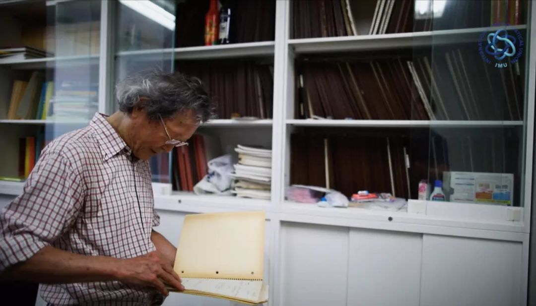 现代数学发展史简介,日本现代发展历程