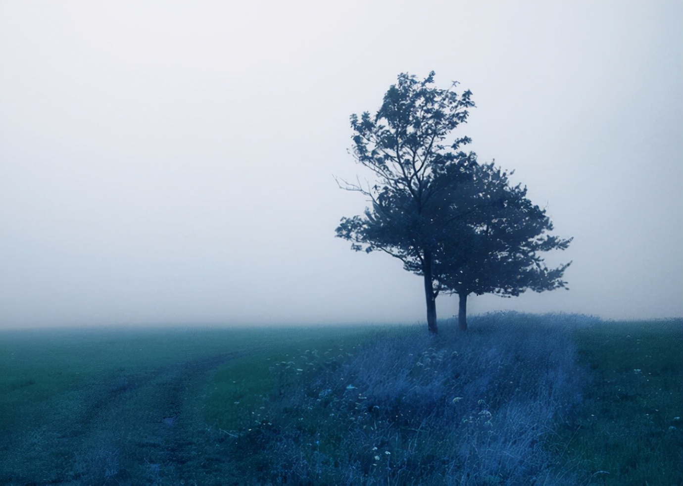 加盟被骗怎么办如何追回加盟费,加盟被骗了怎样能追回钱