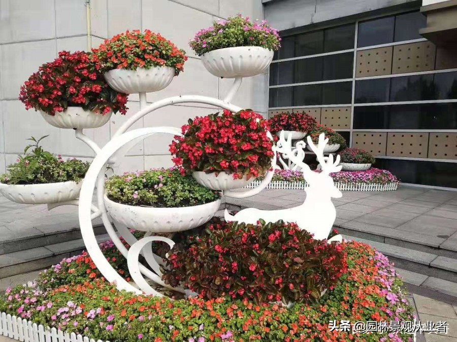 校园绿化思路,校园绿化设计方法