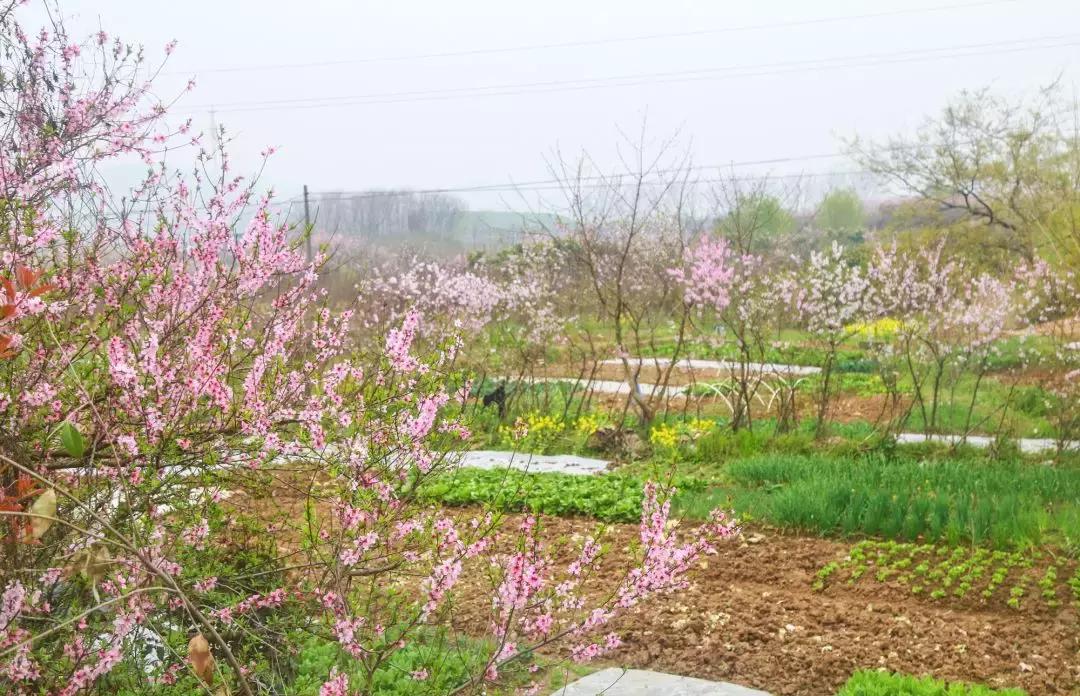 江宁区麒麟门,麒麟门送礼
