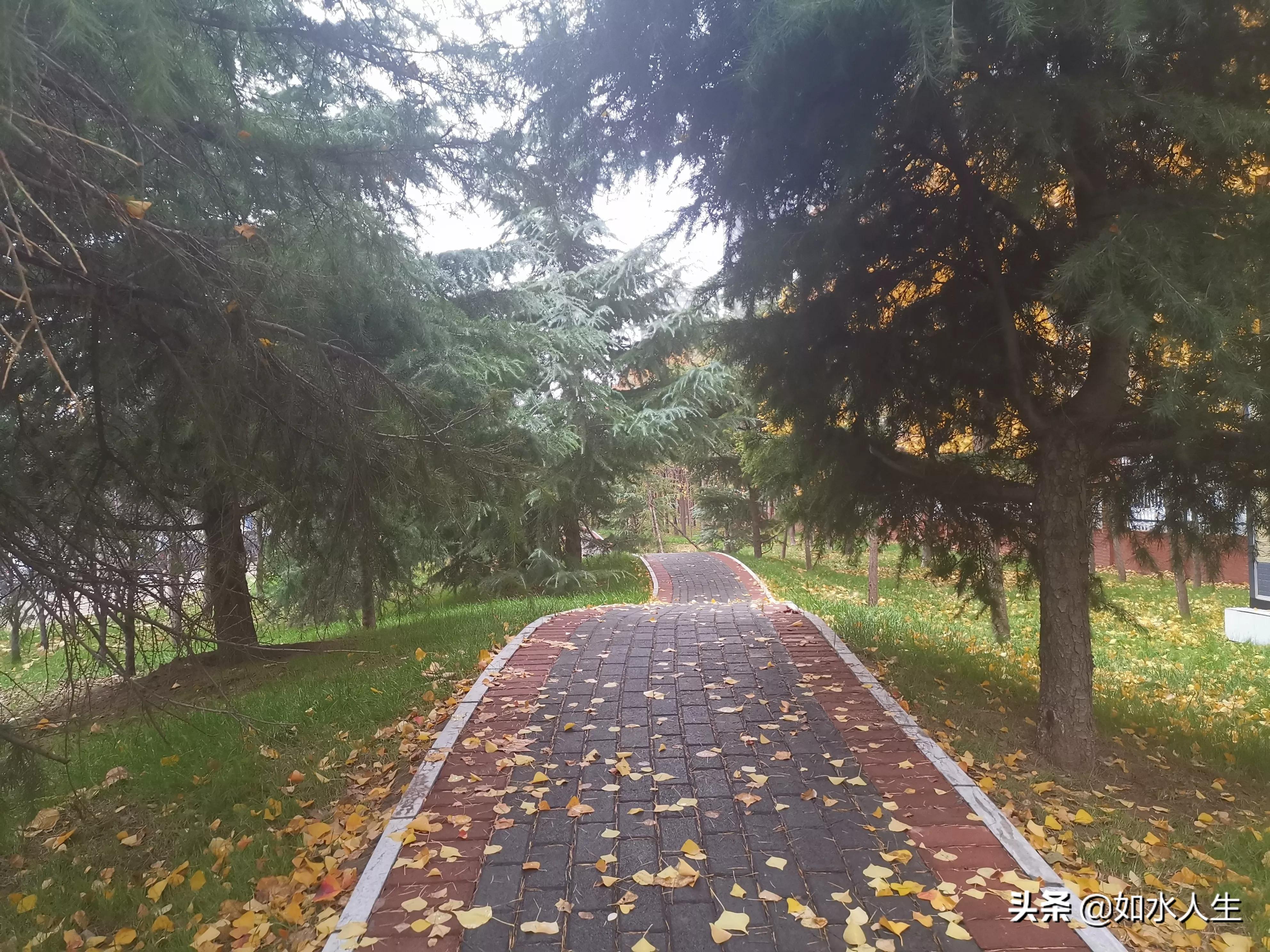 北方的冬天,北方的冬天温暖