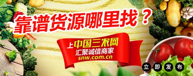 水稻贪青怎样补救,水稻贪青可以喷些什么解决吗