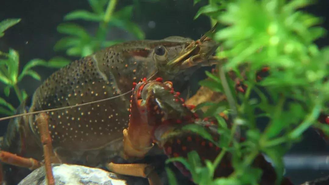 自己跑市场做点生意,隐秘的商机