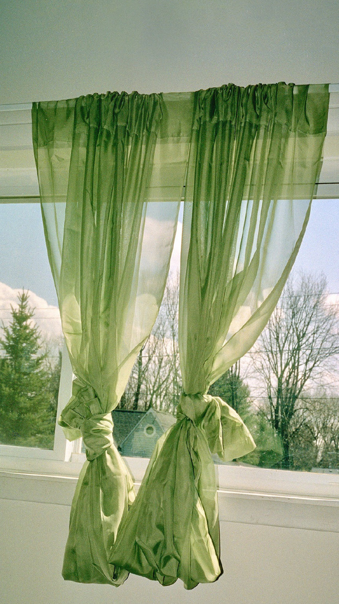 手机壁纸精选高清绿色护眼壁纸,绿色护眼壁纸高清全屏手机锁屏