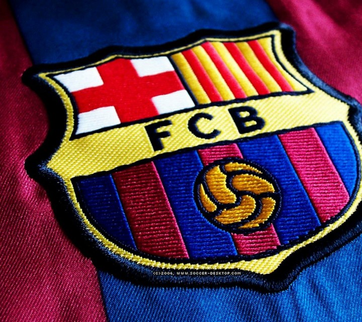 30队队徽,各足球队队徽大全