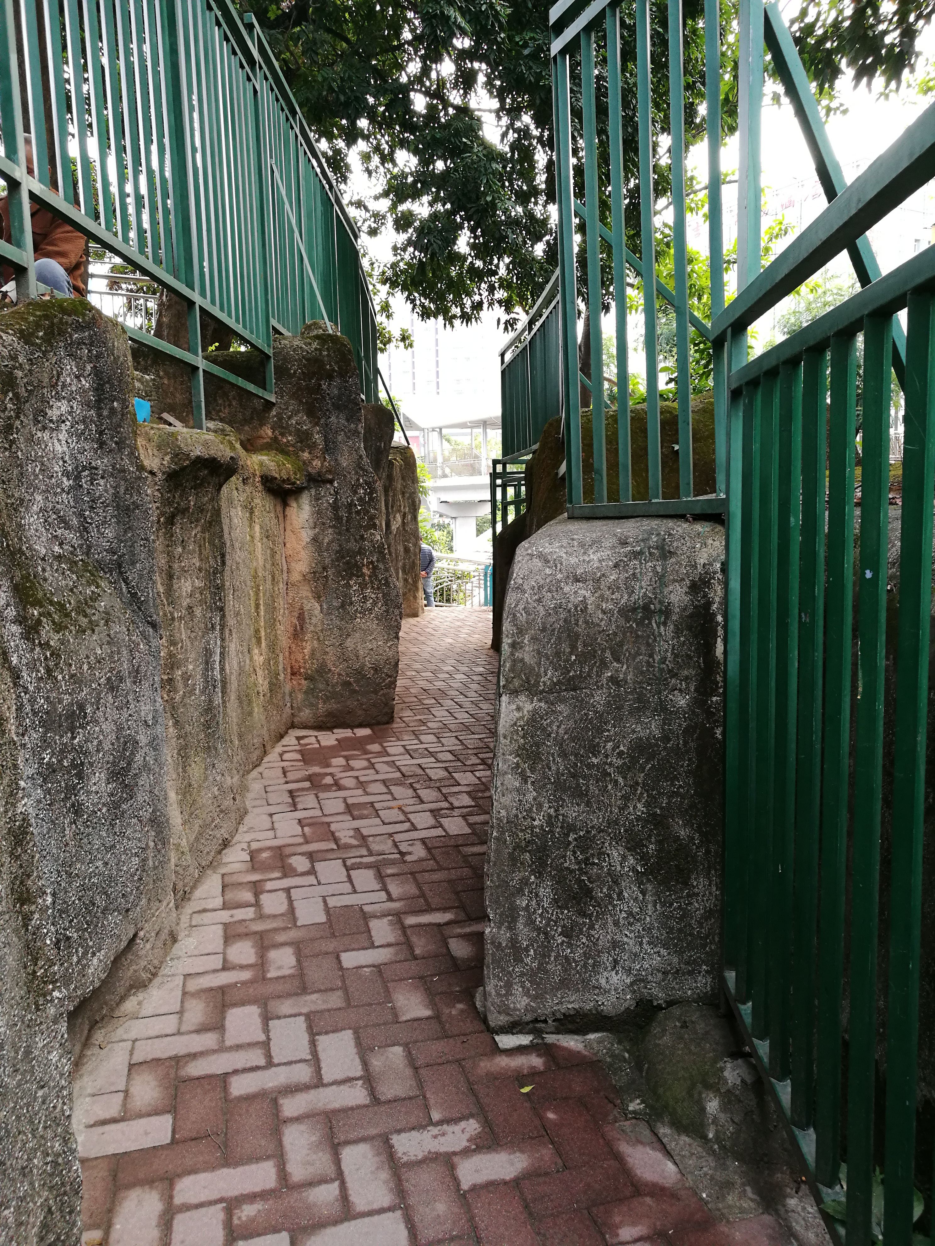 平安夜偶遇第一场雪,平安夜偶遇生日