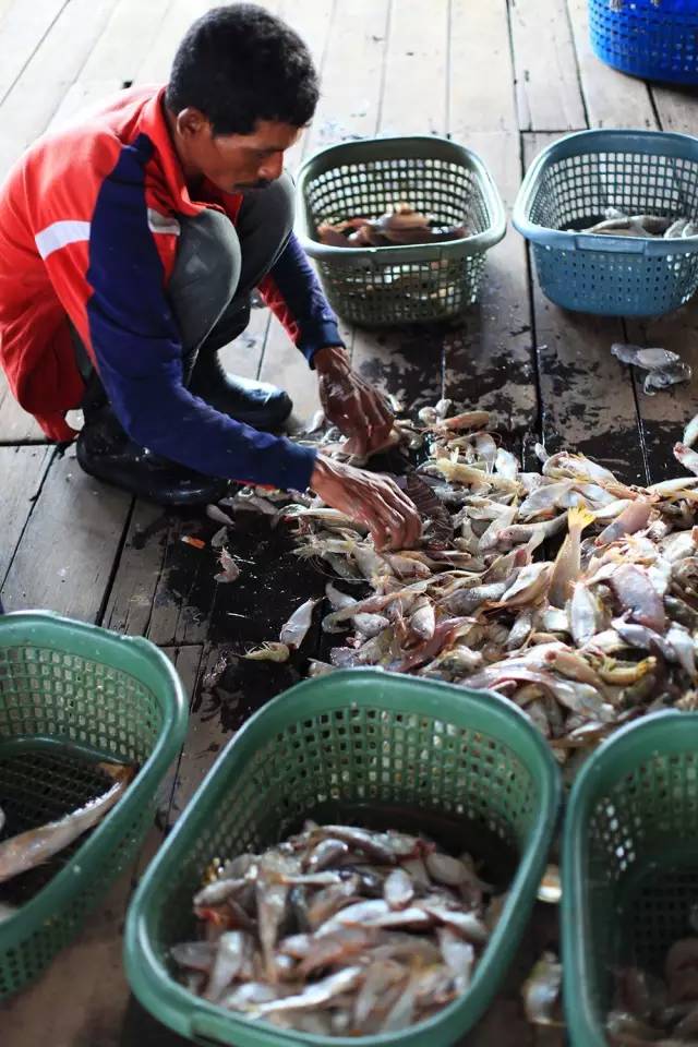 马来西亚旅游免签吗现在,马来西亚免签过关攻略