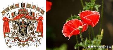 比利时分裂的原因,比利时是如何成为发达国家的