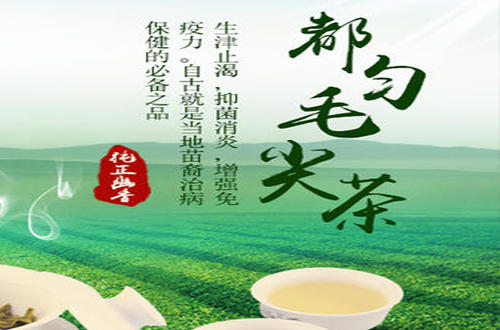 贵州名茶都匀毛尖茶加工技术,都匀毛尖是中国十大名茶英文翻译