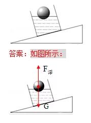 中考物理复习必考,中考物理作图专题复习课件