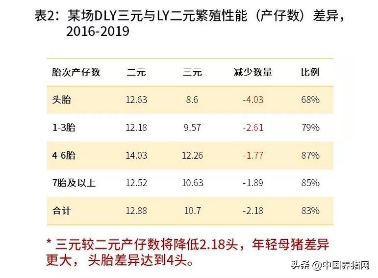 非瘟的养猪方法,非瘟下的养猪人