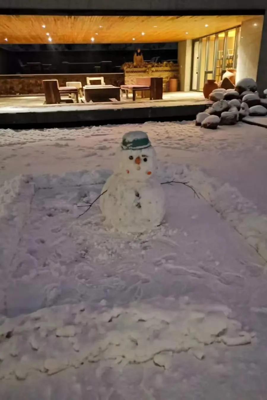 外面零下20℃，绿岛却沸腾了...