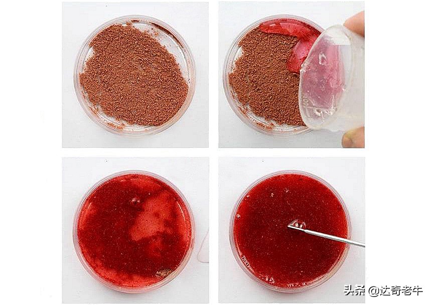 红虫饵要加什么小药,红虫饵料加什么小药