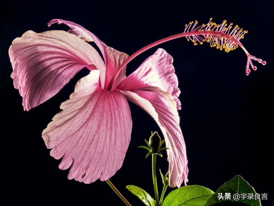 个性签名简短精辟的句子,有深度的个性签名句子短句