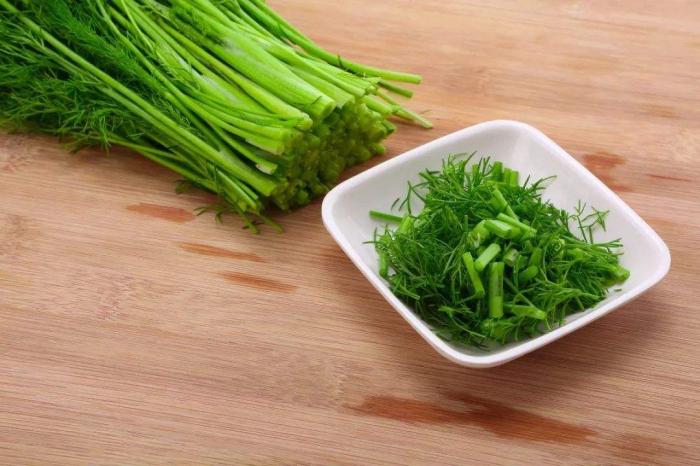 茴香的种植方法及注意事项,茴香栽培技术与方法