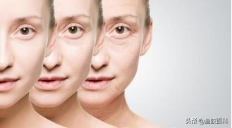 胶原蛋白含量高的鱼胶,鱼胶百科