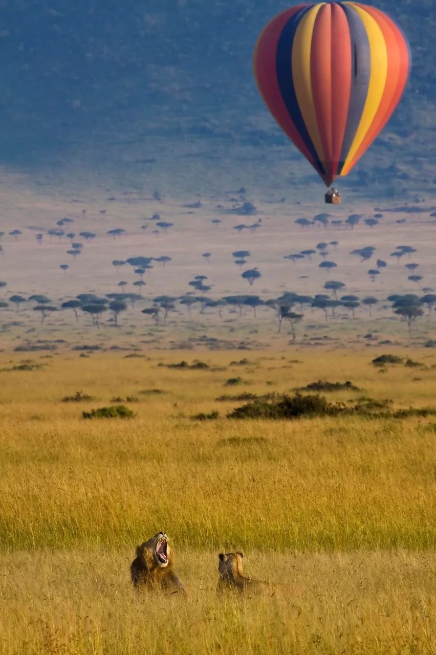 旅行最好的30件事,旅行中最有趣的一件事