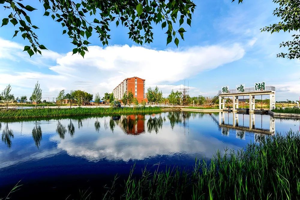 大庆雪地温泉,大庆冬日游玩