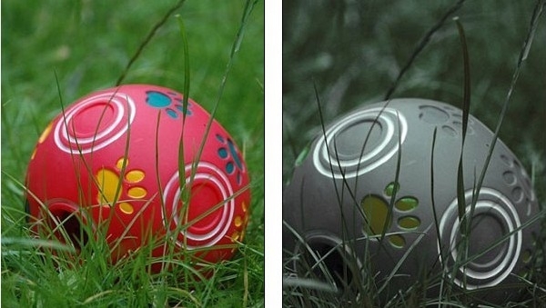 色盲的世界到底是什么样的,色盲人眼中的世界到底长什么样