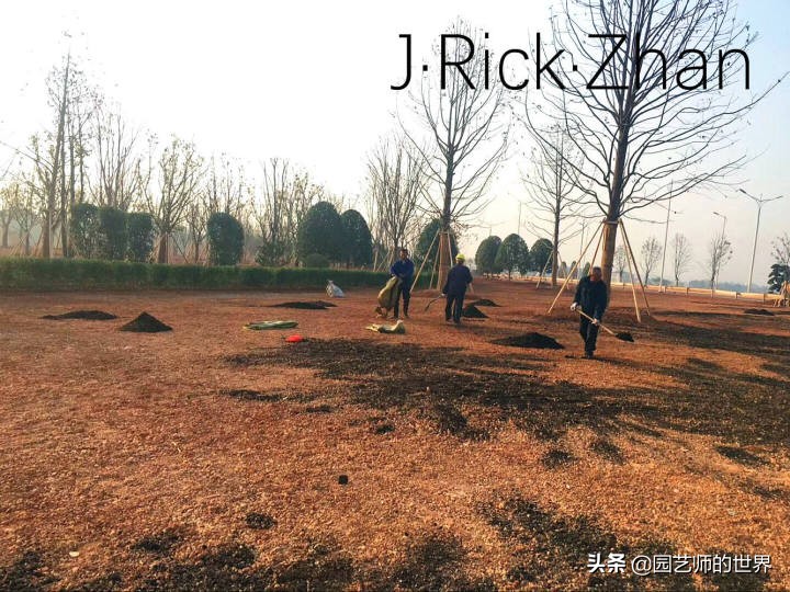 怎样种植草坪技术,果岭草坪的种植养护方法及技巧