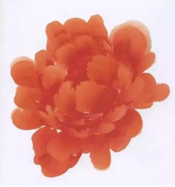 牡丹九大色系,九种牡丹调色法