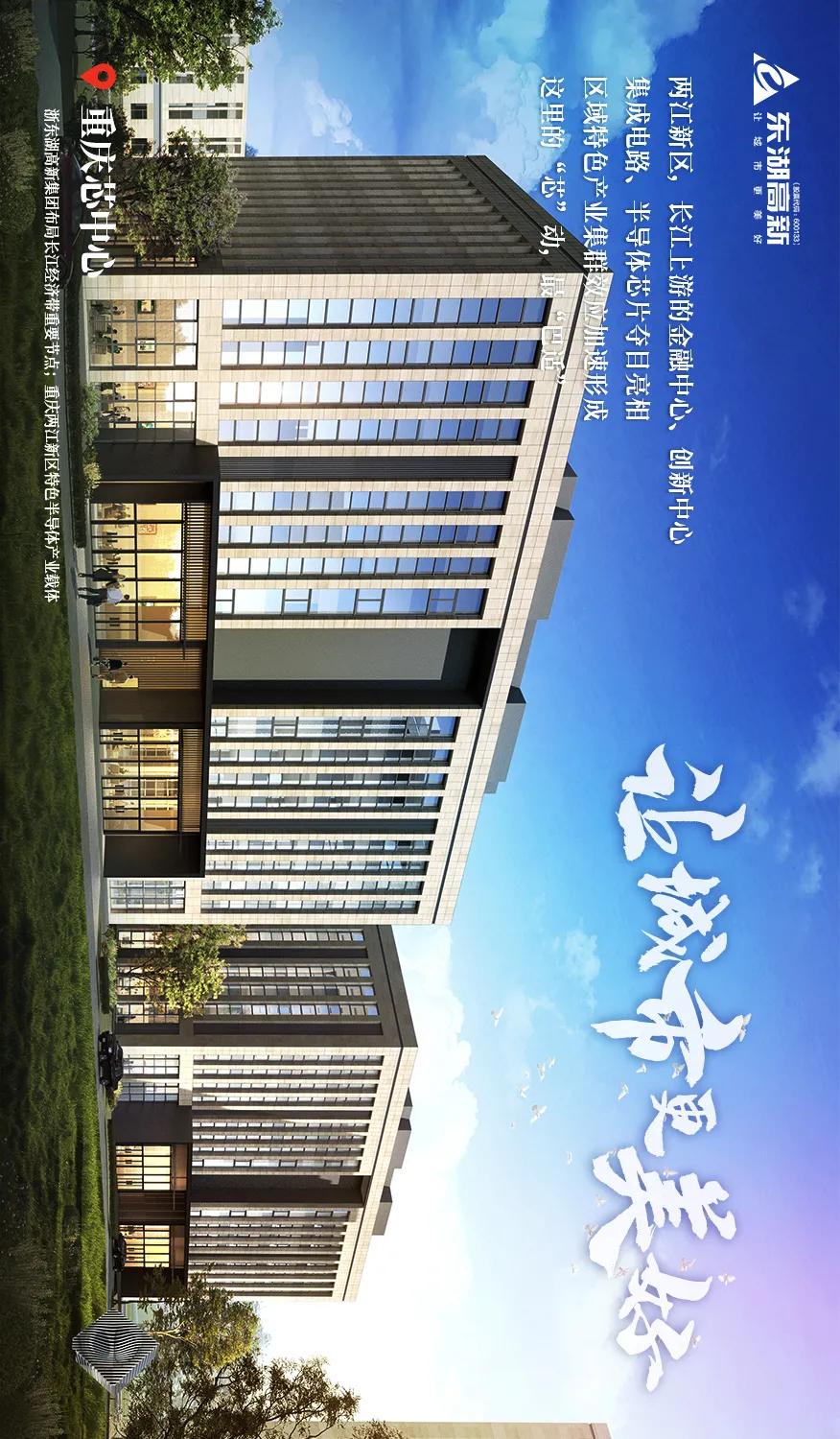 东湖高新集团的发展历程,图鉴图鉴