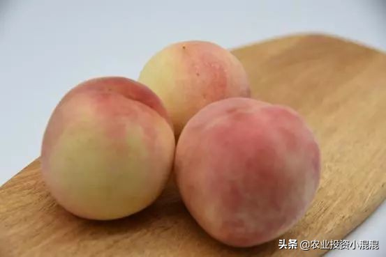 猕猴桃中国最好吃的品种,中国猕猴桃什么品种最好吃