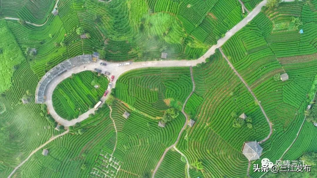 明天早上八点半中央电视台综合频道朝闻天下直播三江号始发，敬请收看