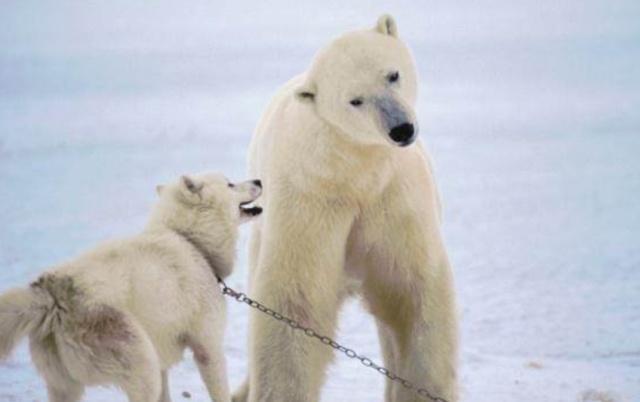 心理学家胡思乱想,心理学如何解开心结停止胡思乱想