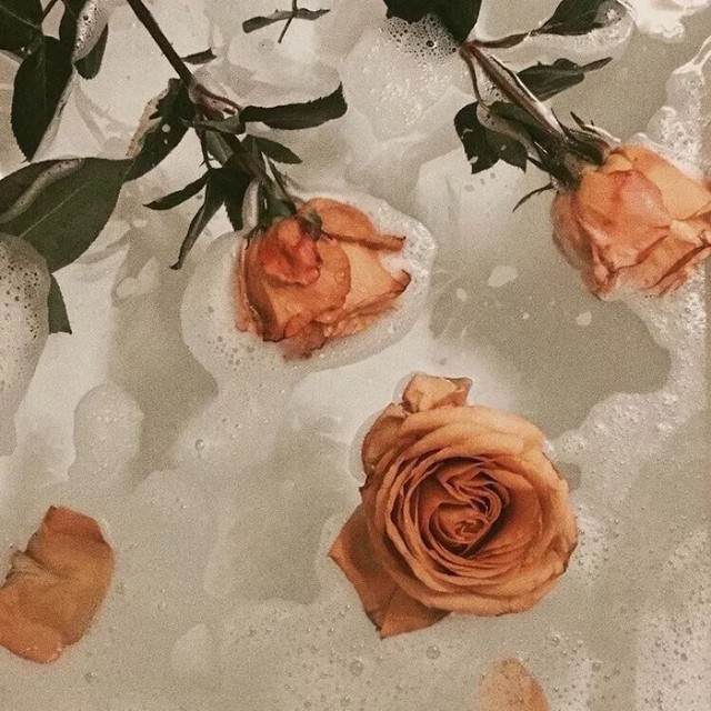 易经中的最吉利的微信头像招财,2024最招财带来好运的微信头像