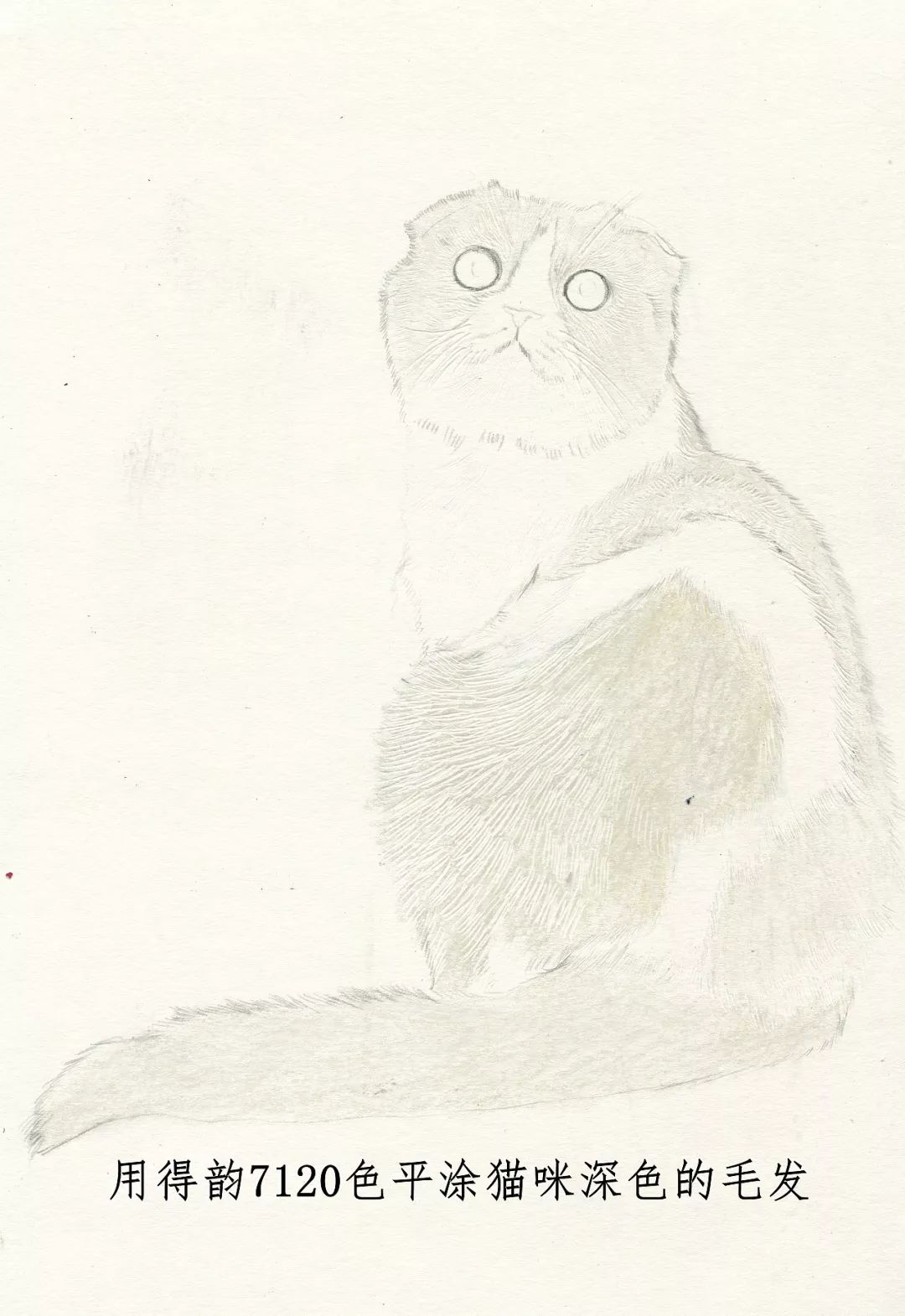 素描动物最全的收集,精微素描动物临摹高清大图