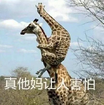 鮟鱇鱼是雌雄一体吗,鮟鱇鱼繁殖方式