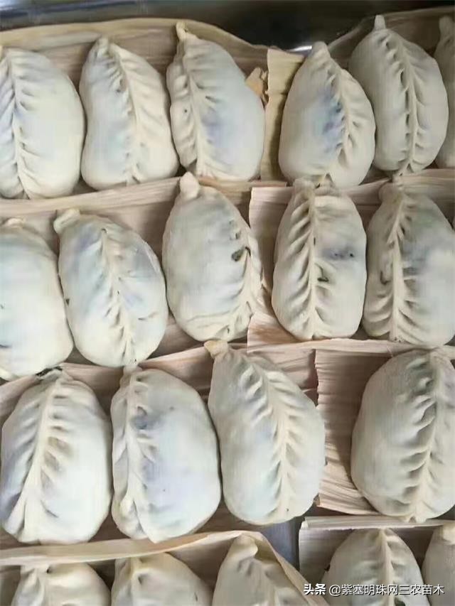 爱上一座城爱上一个人短视频,长岛大壮渔家民宿团购