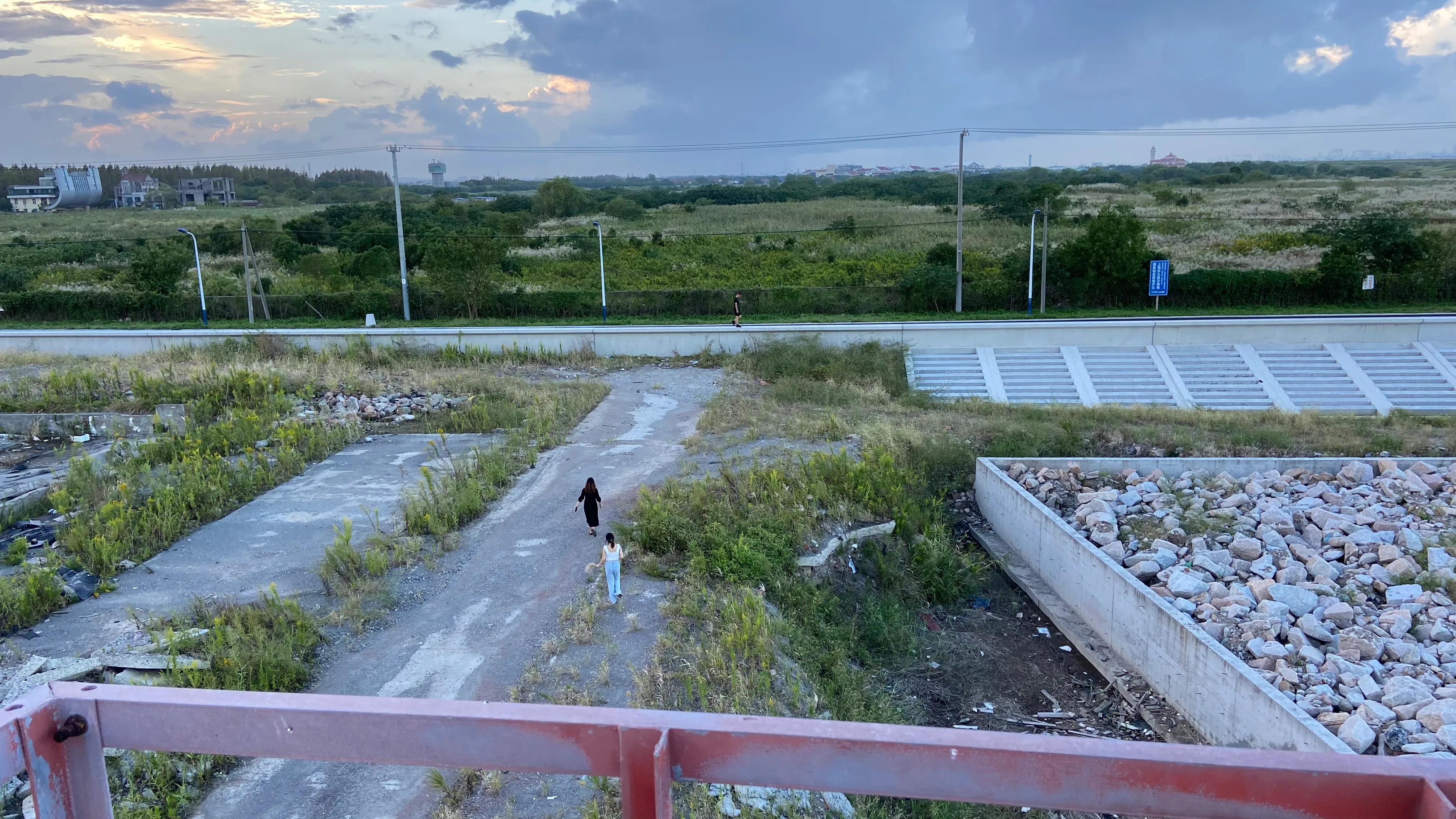 上海哪个地方能看到真正的大海,上海最近景色最好的大海