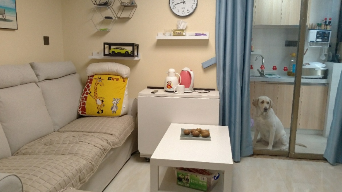 我家26平方单间(住宅)改两房一厅+双阳台微型别墅全过程记录