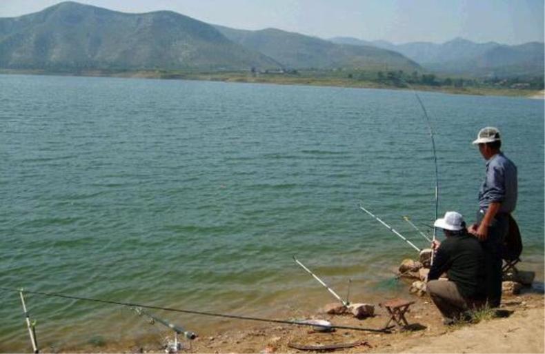 最有效提高中鱼率的钓组,上鱼最容易的抛竿钓组