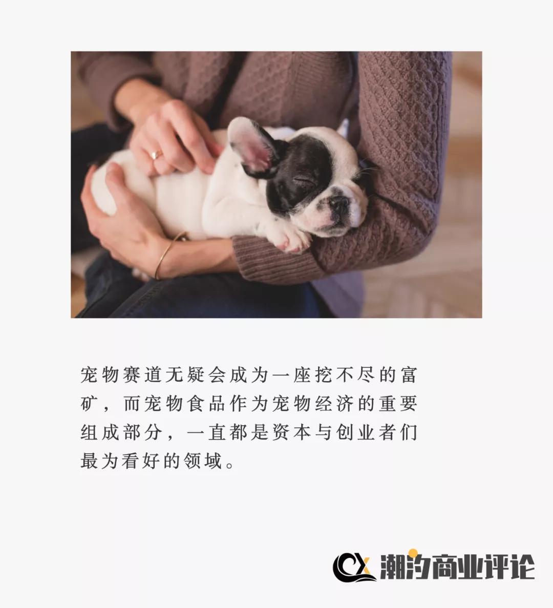 疯狂小狗是烘焙粮吗,疯狂小狗为什么那么便宜