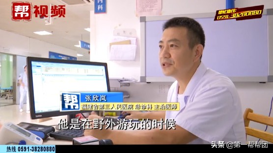 男子在森林中遇到巨型蜈蚣,千年老树里爬出巨大的蜈蚣