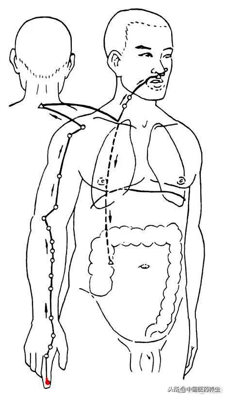 12经络对应12时辰走向图讲解,人体12经络走向位置图详解