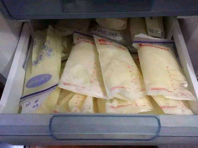 谢娜高级“炫富”：晒出满满当当的一冰箱母乳，疑似为复出做准备